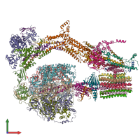 PDB entry 6re6 coloured by chain, front view.