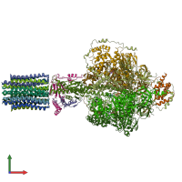 PDB entry 6re7 coloured by chain, front view.