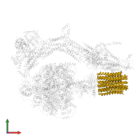 V-ATPase proteolipid subunit C-like domain-containing protein in PDB entry 6re8, assembly 1, front view.