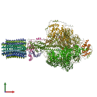 PDB entry 6rea coloured by chain, front view.