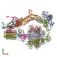 PDB entry 6reb coloured by chain, front view.