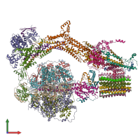 PDB entry 6ree coloured by chain, front view.