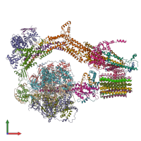PDB entry 6rep coloured by chain, front view.