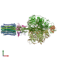 PDB entry 6reu coloured by chain, front view.