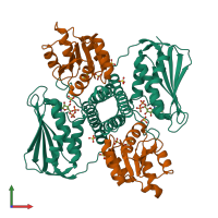 Hetero tetrameric assembly 1 of PDB entry 6rh2 coloured by chemically distinct molecules, front view.