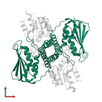 histidine kinase in PDB entry 6rh2, assembly 1, front view.