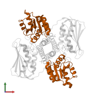 Response regulatory domain-containing protein in PDB entry 6rh2, assembly 1, front view.