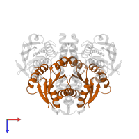 Response regulatory domain-containing protein in PDB entry 6rh2, assembly 1, top view.