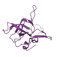 The deposited structure of PDB entry 6ri5 contains 1 copy of Pfam domain PF00238 (Ribosomal protein L14p/L23e) in Large ribosomal subunit protein uL14A. Showing 1 copy in chain K [auth L].