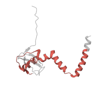 The deposited structure of PDB entry 6ri5 contains 1 copy of Pfam domain PF01929 (Ribosomal protein L14) in Large ribosomal subunit protein eL14A. Showing 1 copy in chain L [auth M].
