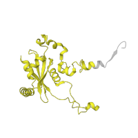 The deposited structure of PDB entry 6ri5 contains 1 copy of Pfam domain PF00827 (Ribosomal L15) in Large ribosomal subunit protein eL15A. Showing 1 copy in chain N [auth O].