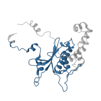 The deposited structure of PDB entry 6ri5 contains 1 copy of Pfam domain PF17144 (Ribosomal large subunit proteins 60S L5, and 50S L18) in Large ribosomal subunit protein uL18. Showing 1 copy in chain O [auth P].