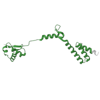 The deposited structure of PDB entry 6ri5 contains 1 copy of Pfam domain PF01280 (Ribosomal protein L19e) in Large ribosomal subunit protein eL19A. Showing 1 copy in chain Q [auth R].
