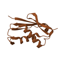 The deposited structure of PDB entry 6ri5 contains 1 copy of Pfam domain PF01776 (Ribosomal L22e protein family) in Large ribosomal subunit protein eL22A. Showing 1 copy in chain U [auth V].