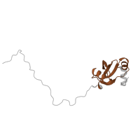 The deposited structure of PDB entry 6ri5 contains 1 copy of Pfam domain PF00276 (Ribosomal protein L23) in Large ribosomal subunit protein uL23. Showing 1 copy in chain V [auth W].
