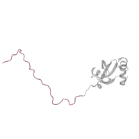 The deposited structure of PDB entry 6ri5 contains 1 copy of Pfam domain PF03939 (Ribosomal protein L23, N-terminal domain) in Large ribosomal subunit protein uL23. Showing 1 copy in chain V [auth W].