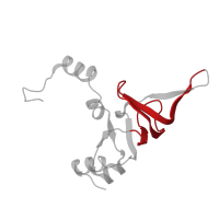 The deposited structure of PDB entry 6ri5 contains 1 copy of Pfam domain PF00467 (KOW motif) in Large ribosomal subunit protein uL24A. Showing 1 copy in chain W [auth X].