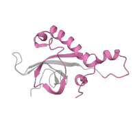 The deposited structure of PDB entry 6ri5 contains 1 copy of Pfam domain PF01777 (Ribosomal L27e protein family) in Large ribosomal subunit protein eL27A. Showing 1 copy in chain X [auth Y].