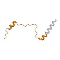 The deposited structure of PDB entry 6ri5 contains 1 copy of Pfam domain PF01779 (Ribosomal L29e protein family) in Large ribosomal subunit protein eL29. Showing 1 copy in chain Z [auth a].