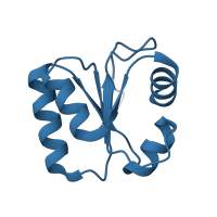 The deposited structure of PDB entry 6ri5 contains 1 copy of Pfam domain PF01248 (Ribosomal protein L7Ae/L30e/S12e/Gadd45 family) in Large ribosomal subunit protein eL30. Showing 1 copy in chain BA [auth c].