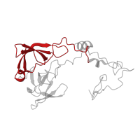 The deposited structure of PDB entry 6ri5 contains 1 copy of Pfam domain PF00181 (Ribosomal Proteins L2, RNA binding domain) in Large ribosomal subunit protein uL2A. Showing 1 copy in chain B.