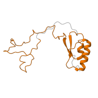 The deposited structure of PDB entry 6ri5 contains 1 copy of Pfam domain PF01655 (Ribosomal protein L32) in Large ribosomal subunit protein eL32. Showing 1 copy in chain DA [auth e].