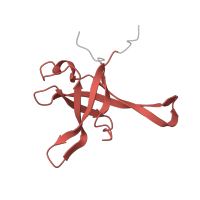 The deposited structure of PDB entry 6ri5 contains 1 copy of Pfam domain PF01247 (Ribosomal protein L35Ae) in Large ribosomal subunit protein eL33A. Showing 1 copy in chain EA [auth f].