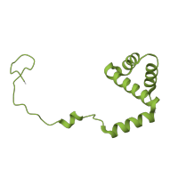 The deposited structure of PDB entry 6ri5 contains 1 copy of Pfam domain PF01158 (Ribosomal protein L36e) in Large ribosomal subunit protein eL36A. Showing 1 copy in chain GA [auth h].