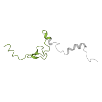 The deposited structure of PDB entry 6ri5 contains 1 copy of Pfam domain PF01907 (Ribosomal protein L37e) in Large ribosomal subunit protein eL37A. Showing 1 copy in chain HA [auth i].