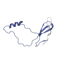 The deposited structure of PDB entry 6ri5 contains 1 copy of Pfam domain PF00935 (Ribosomal protein L44) in Large ribosomal subunit protein eL42A. Showing 1 copy in chain KA [auth l].