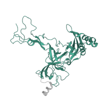 The deposited structure of PDB entry 6ri5 contains 1 copy of Pfam domain PF00297 (Ribosomal protein L3) in Large ribosomal subunit protein uL3. Showing 1 copy in chain C.