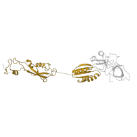 The deposited structure of PDB entry 6ri5 contains 1 copy of Pfam domain PF04981 (NMD3 family) in 60S ribosomal export protein NMD3. Showing 1 copy in chain OA [auth w].