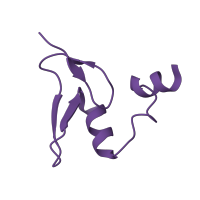 The deposited structure of PDB entry 6ri5 contains 1 copy of Pfam domain PF01246 (Ribosomal protein L24e) in Large ribosomal subunit protein eL24A. Showing 1 copy in chain PA [auth v].