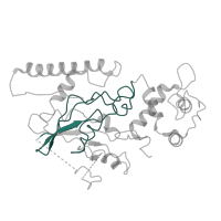 The deposited structure of PDB entry 6ri5 contains 1 copy of Pfam domain PF01926 (50S ribosome-binding GTPase) in Large subunit GTPase 1. Showing 1 copy in chain QA [auth o].