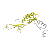 The deposited structure of PDB entry 6ri5 contains 1 copy of Pfam domain PF00252 (Ribosomal protein L16p/L10e) in Large ribosomal subunit protein uL16. Showing 1 copy in chain SA [auth q].