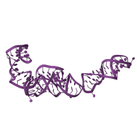 The deposited structure of PDB entry 6ri5 contains 1 copy of Rfam domain RF00001 (5S ribosomal RNA) in 5S ribosomal RNA. Showing 1 copy in chain UA [auth x].