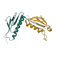 The deposited structure of PDB entry 6ri5 contains 2 copies of Pfam domain PF00347 (Ribosomal protein L6) in Large ribosomal subunit protein uL6A. Showing 2 copies in chain F.
