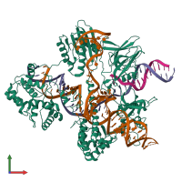 PDB entry 6rjd coloured by chain, front view.