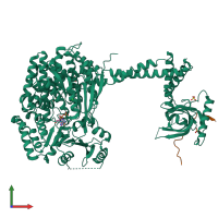 PDB entry 6ro1 coloured by chain, front view.