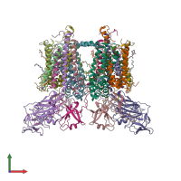 PDB entry 6rqf coloured by chain, front view.