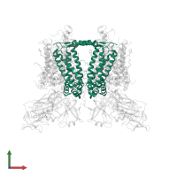 Cytochrome b6 in PDB entry 6rqf, assembly 1, front view.