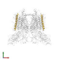 Cytochrome b6-f complex subunit 7 in PDB entry 6rqf, assembly 1, front view.