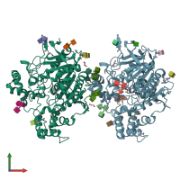 PDB entry 6rua coloured by chain, front view.