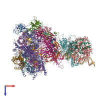 PDB entry 6ruo coloured by chain, top view.