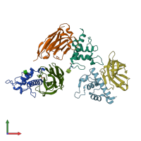 PDB entry 6rvc coloured by chain, front view.