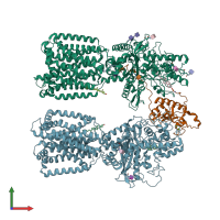 PDB entry 6rvd coloured by chain, front view.