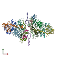 PDB entry 6rwl coloured by chain, front view.