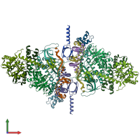 PDB entry 6rwn coloured by chain, front view.