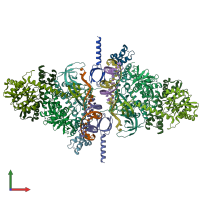 PDB entry 6rwo coloured by chain, front view.