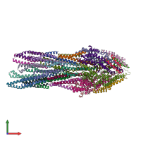 PDB entry 6rwy coloured by chain, front view.